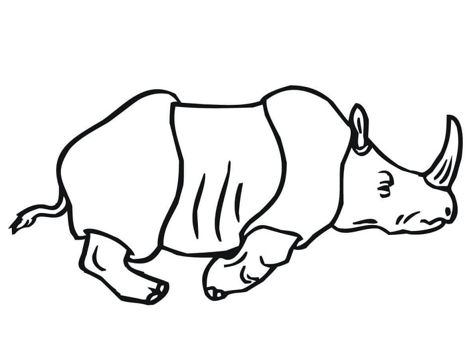 Rhinocéros Indien coloring page