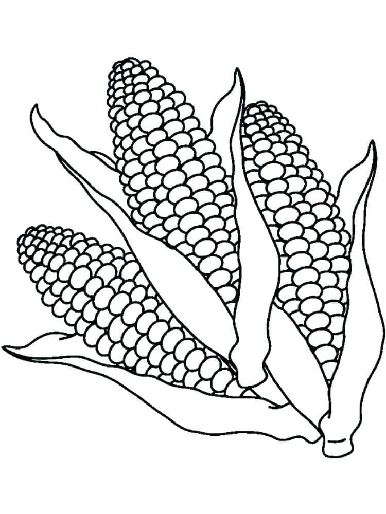 Coloriage Ma s Imprimer Sur ColoriageEnfant Com