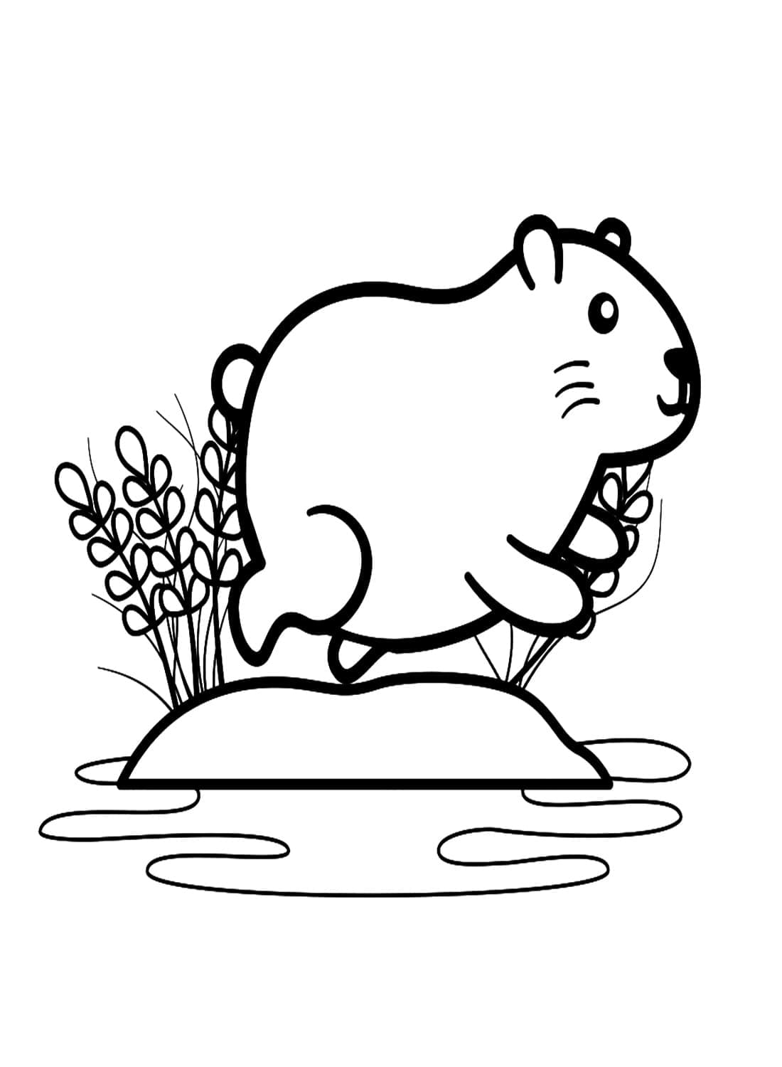 Un Capybara très Mignon coloring page