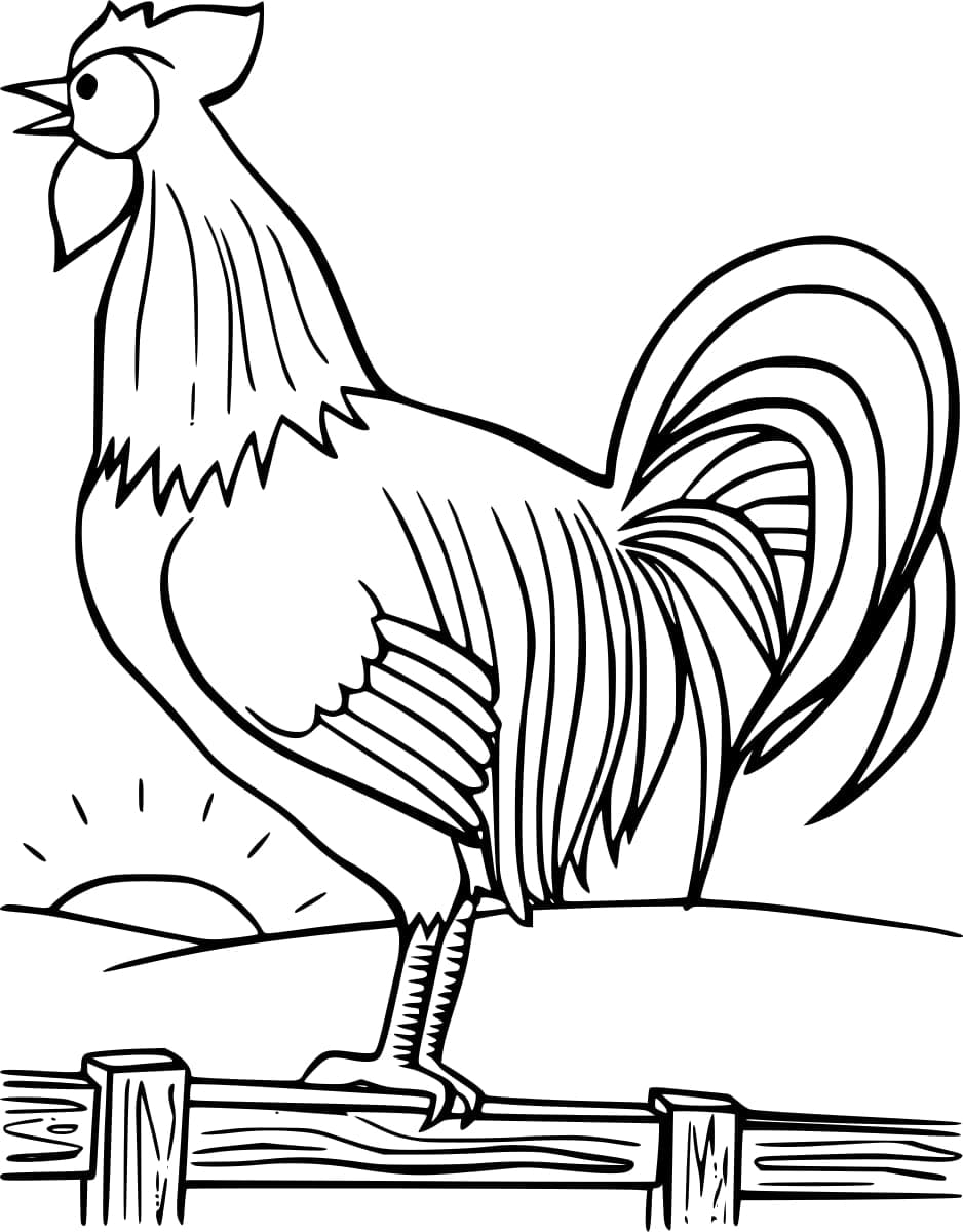 Un Coq le Matin coloring page
