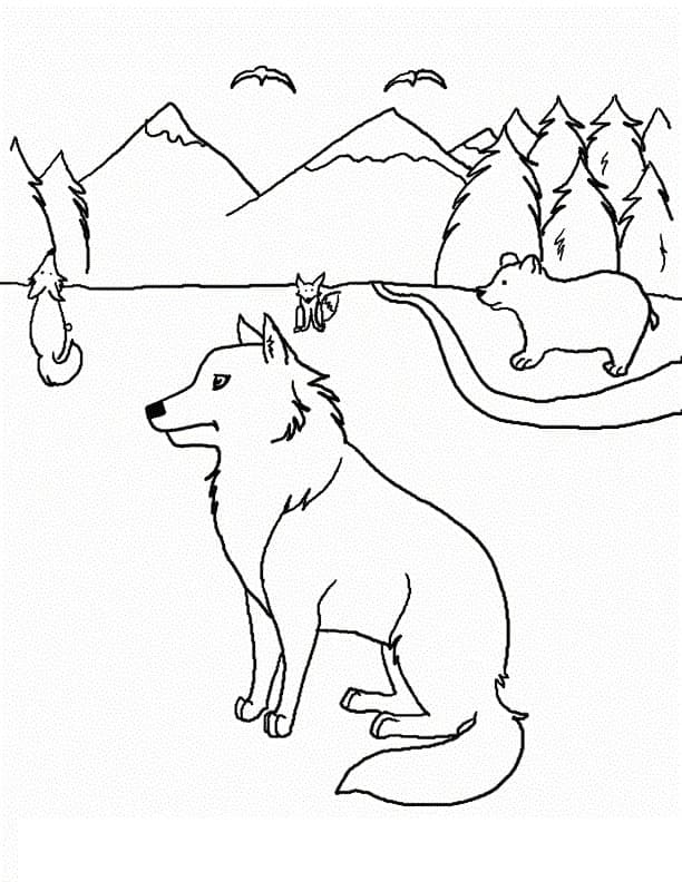 Un Coyote Assis coloring page