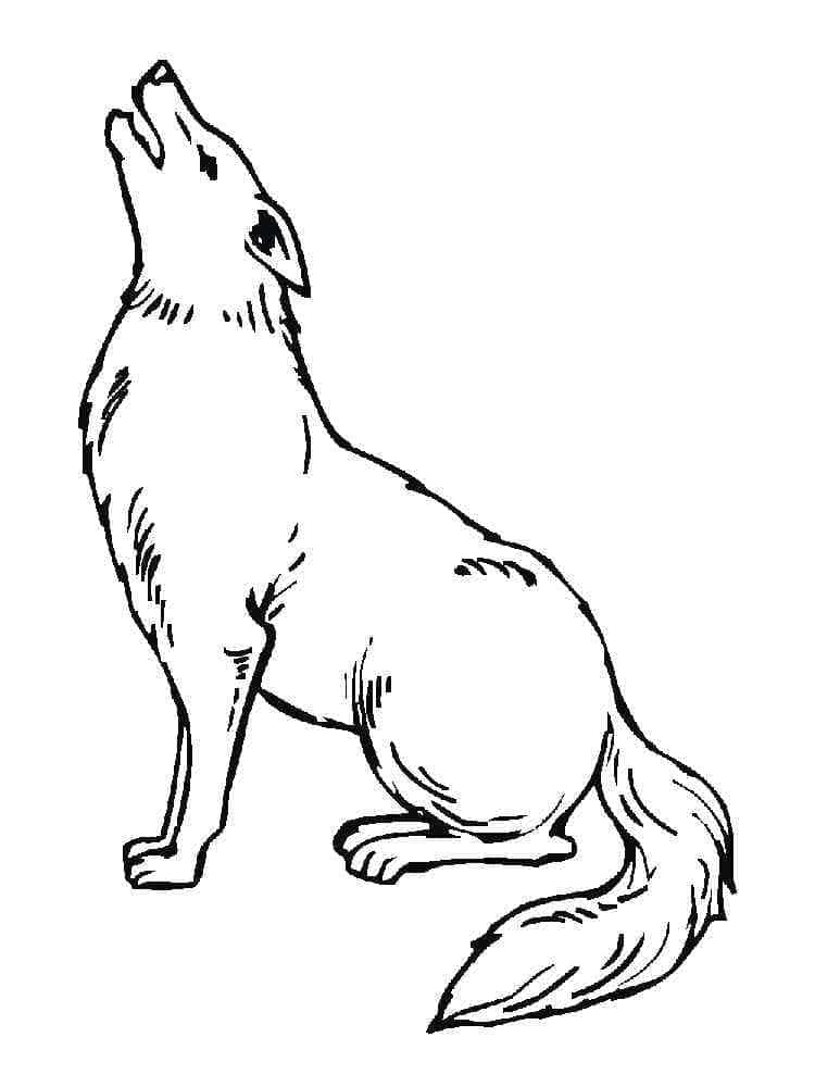 Un Coyote Hurlant coloring page
