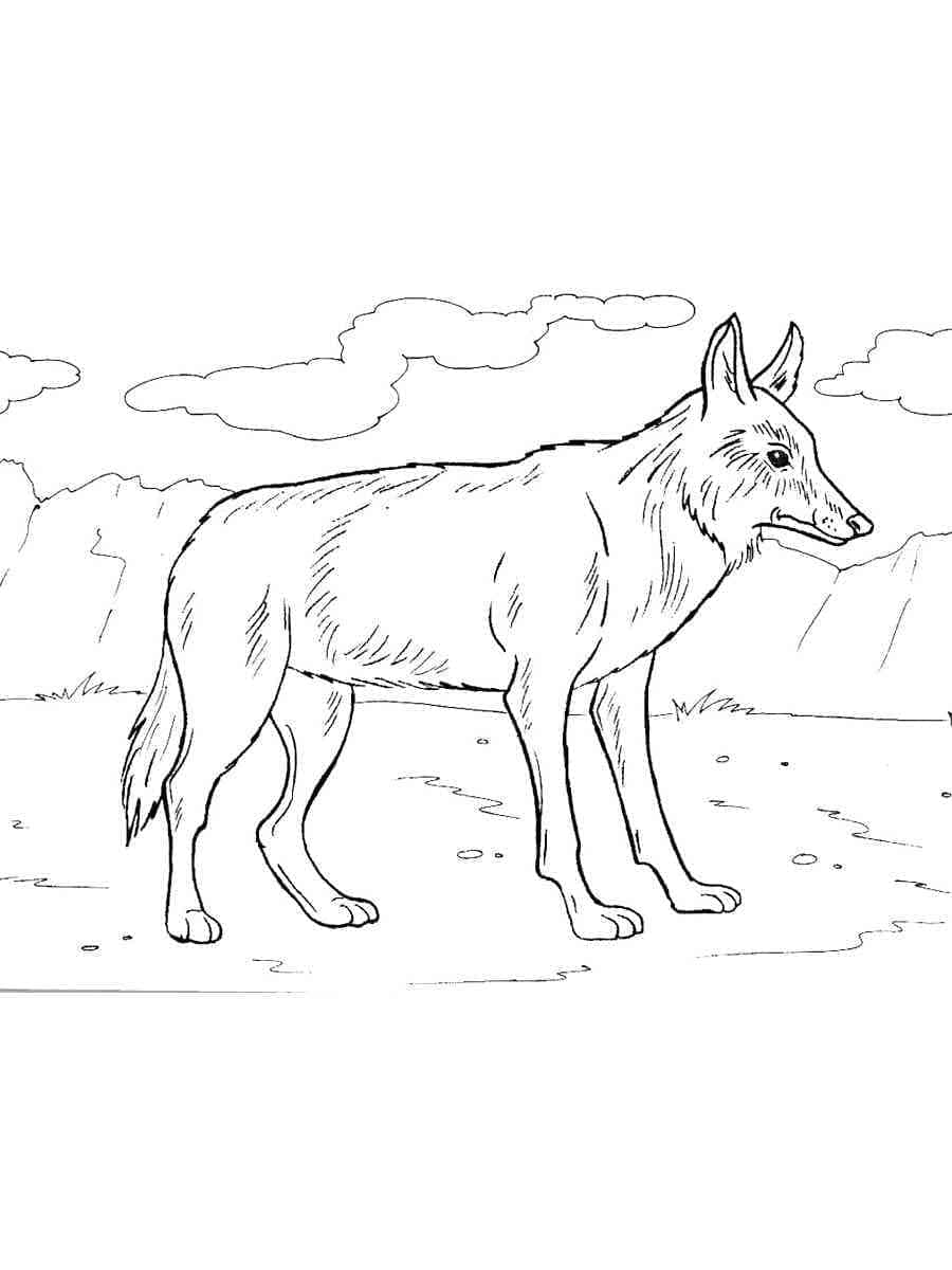 Un Coyote coloring page