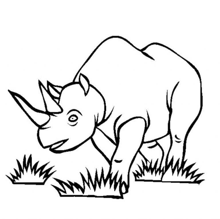 Coloriage Un étrange rhinocéros