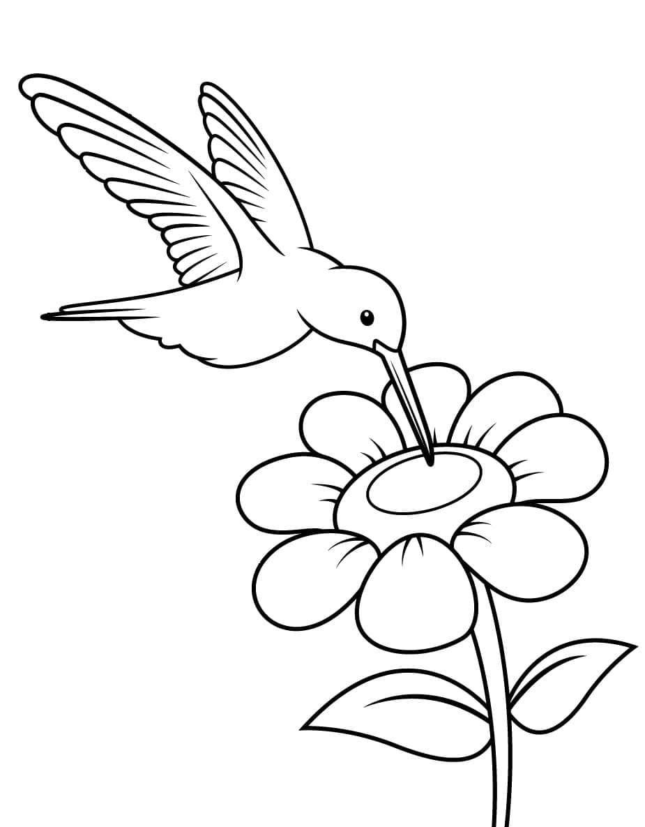Adorable Colibri coloring page