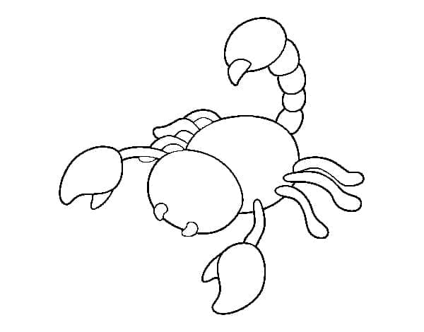 Coloriage Adorable Scorpion