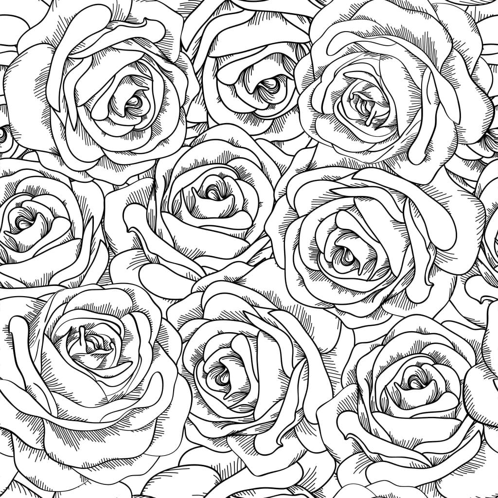 Coloriage Art-thérapie avec des Roses