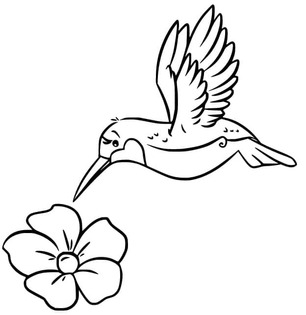Coloriage Colibri avec une Fleur