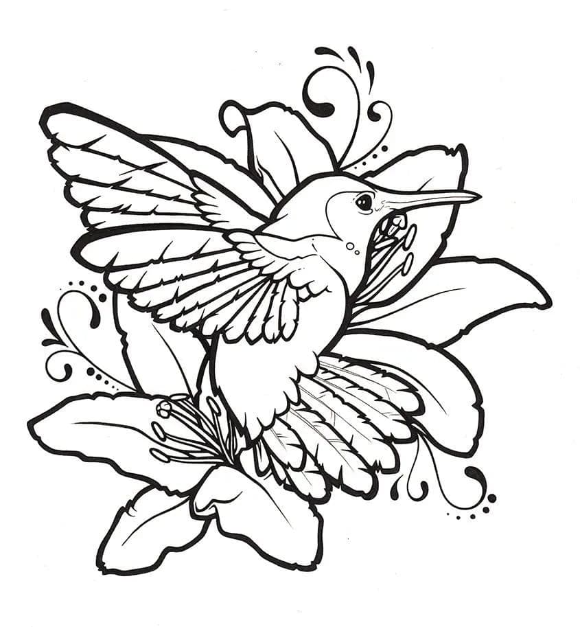 Colibri Génial coloring page