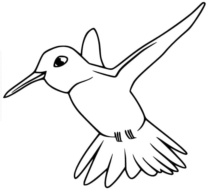Colibri Simple coloring page