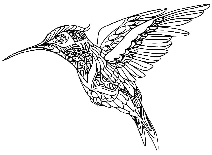 Colibri Zentangle coloring page