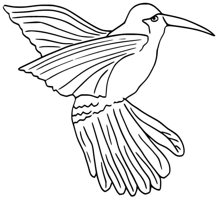 Dessin de Colibri coloring page