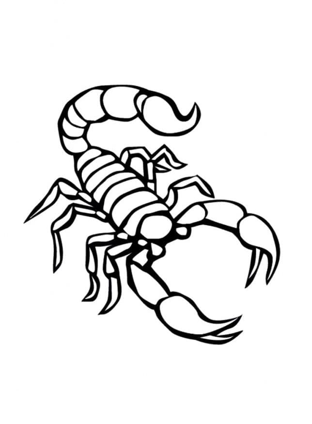 Coloriage Image de Scorpion