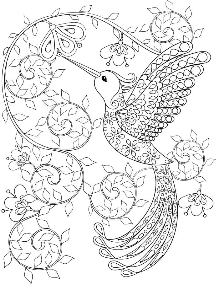 Merveilleux Colibri coloring page