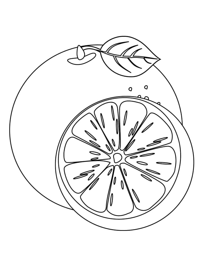 Orange Imprimable coloring page