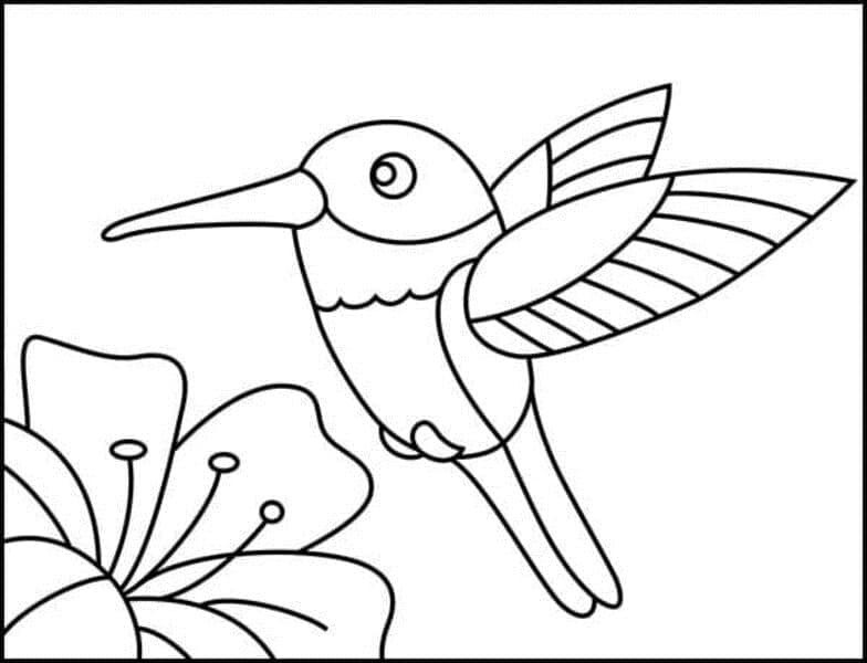 Petit Colibri coloring page