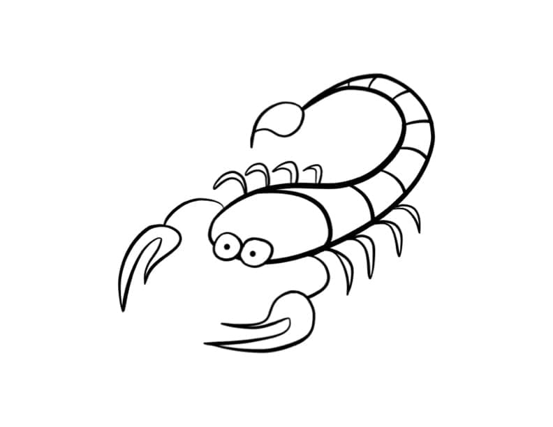 Coloriage Petit Scorpion