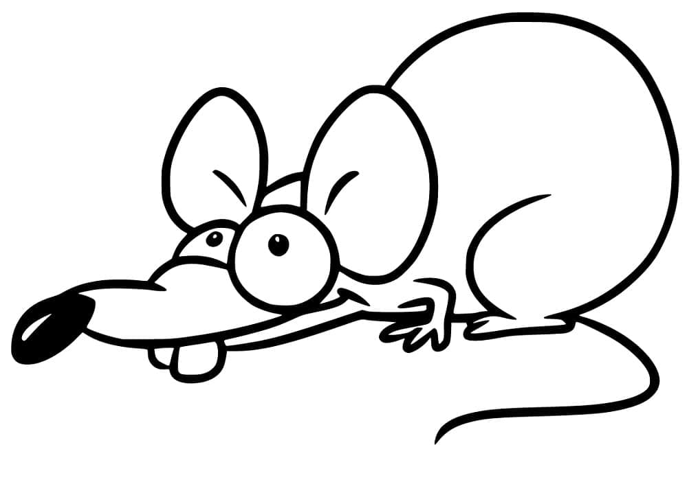 Coloriage Rat Drôle