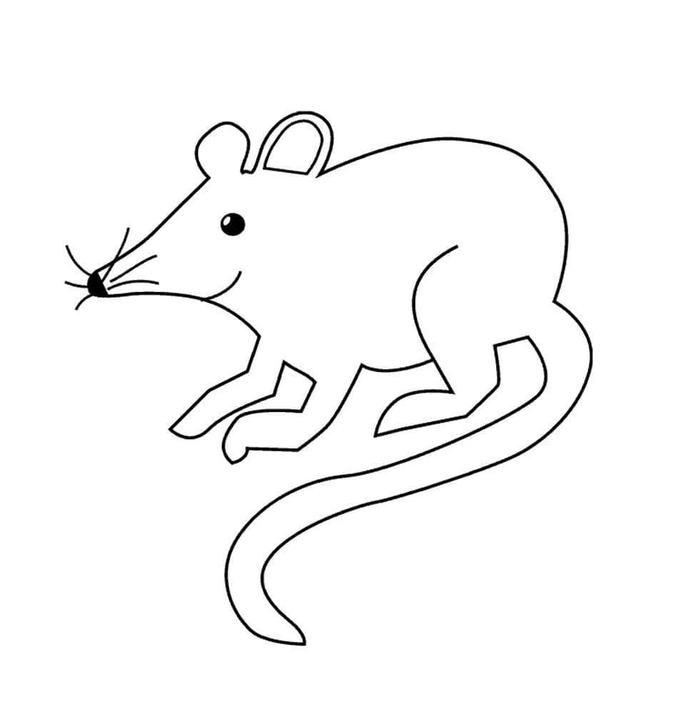 Coloriage Rat Facile