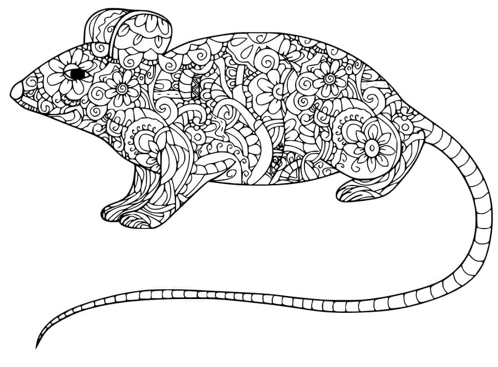 Coloriage Rat Zentangle