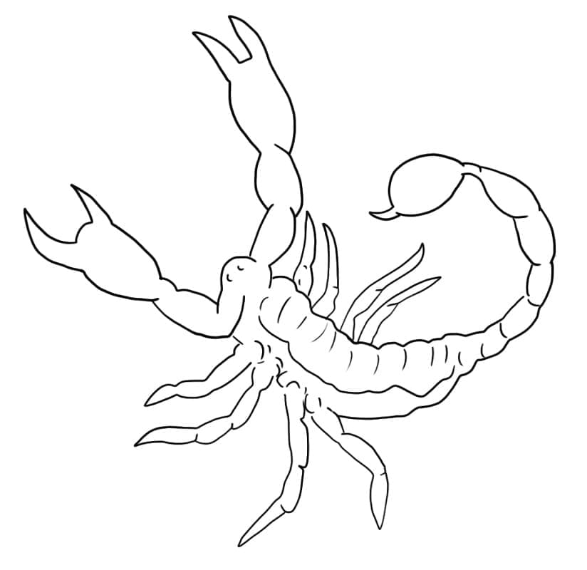 Coloriage Scorpion Facile