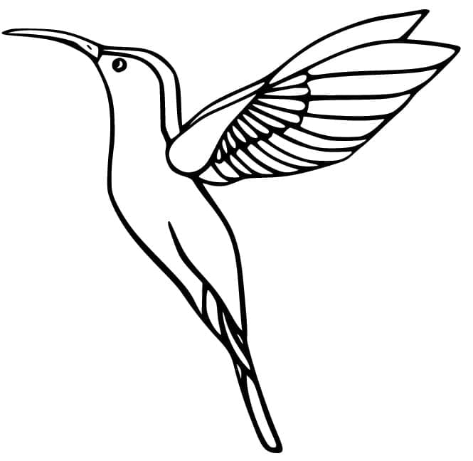 Un Colibri Volant coloring page