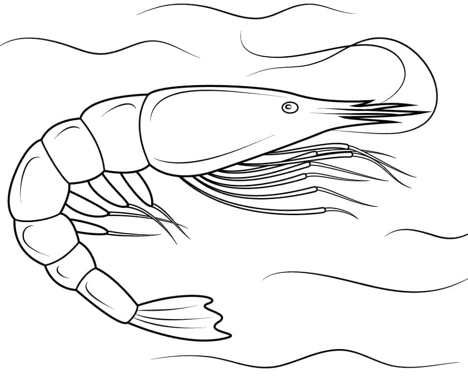 Une Crevette Nageuse coloring page