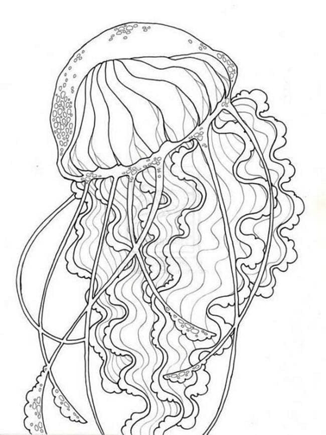 Une Méduse coloring page