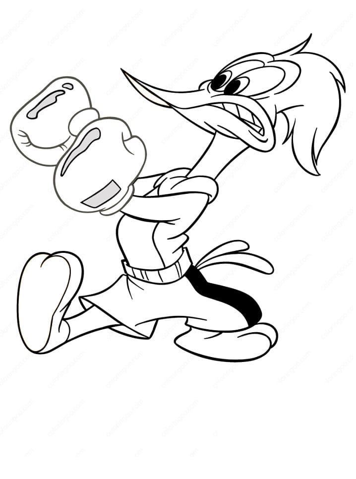 Woody Woodpecker de Boxe coloring page