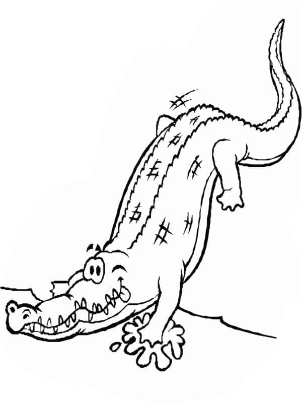 Coloriage Alligator Animé