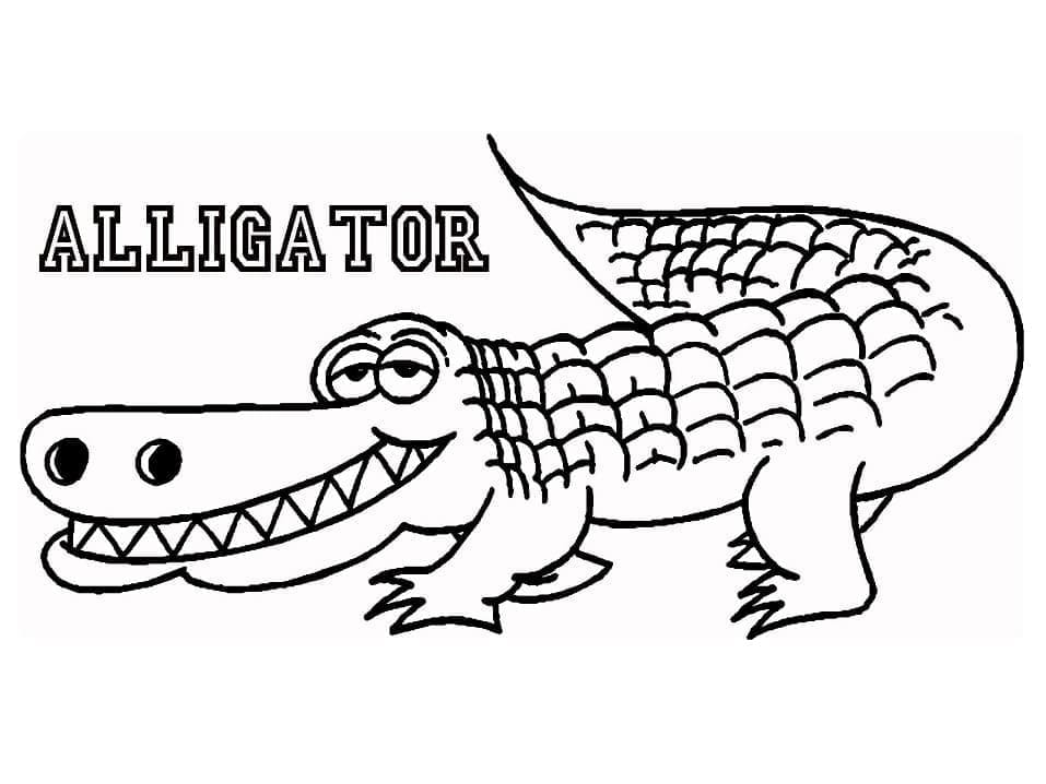 Coloriage Alligator Humoristique