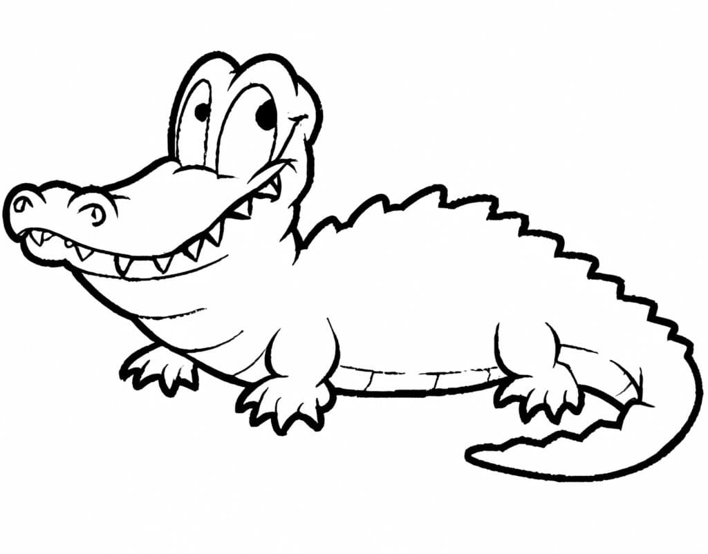 Coloriage Alligator très drôle