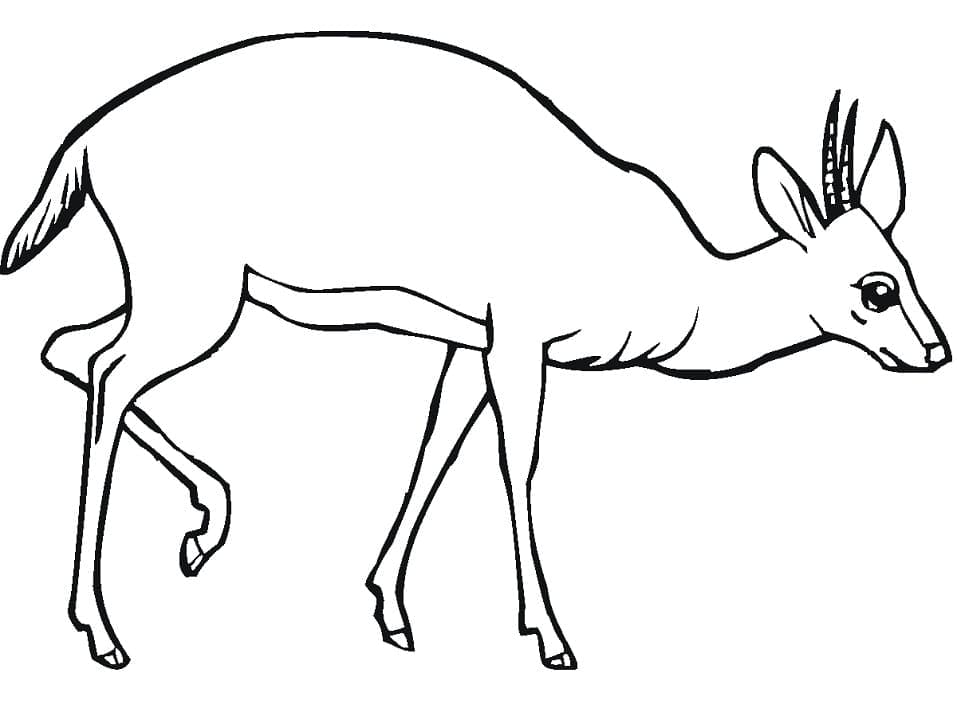 Coloriage Antilope 1
