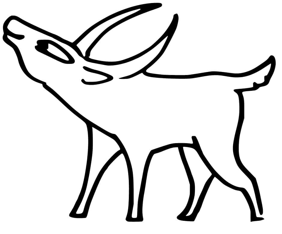 Antilope Drôle coloring page