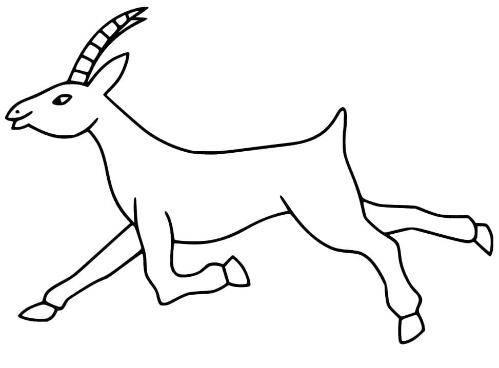 Coloriage Antilope