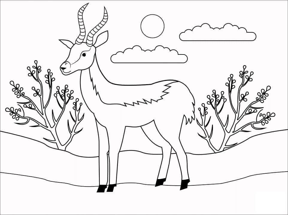 Coloriage Antilope Simple