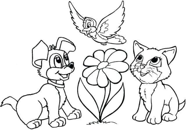 Chien, Chat et Oiseau coloring page