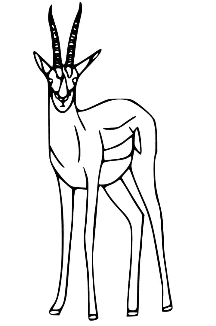 Dessin Gratuit d’Antilope coloring page