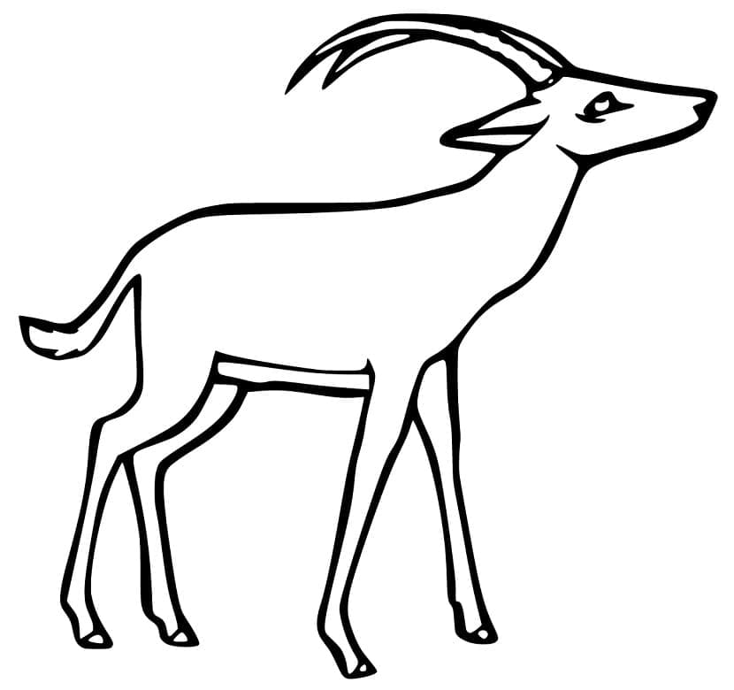 Coloriage Image d'antilope