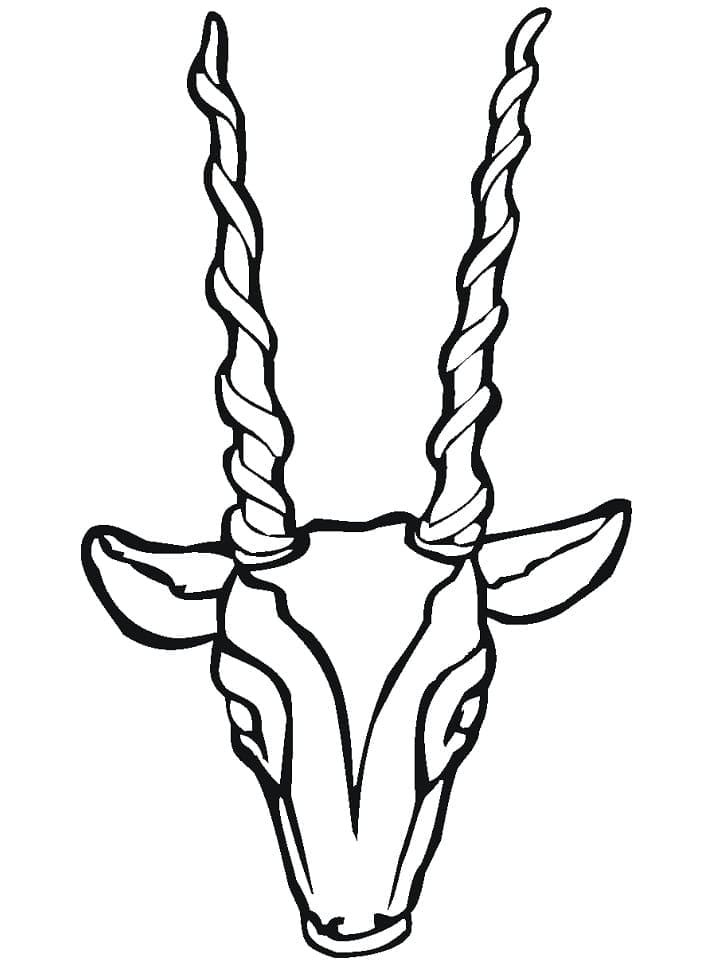 Tête d’antilope coloring page