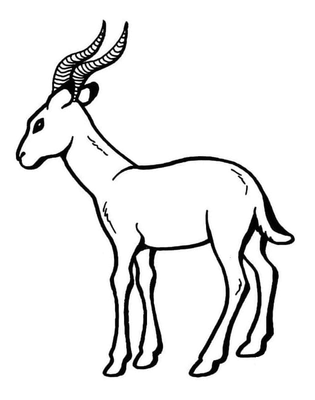 Une Antilope coloring page