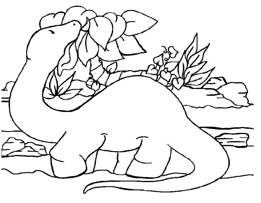 Bébé Diplodocus coloring page