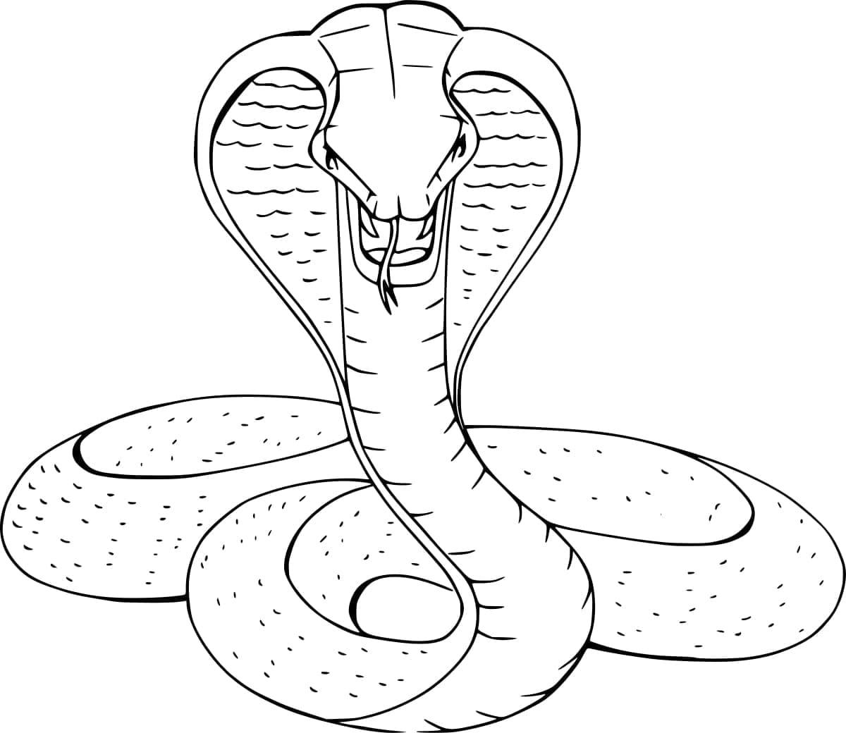 Coloriage Cobra Imprimable