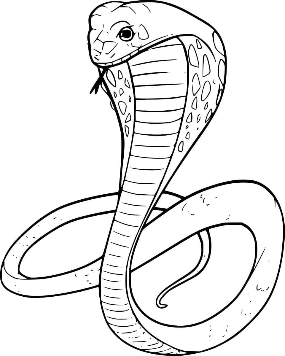 Cobra Normal coloring page