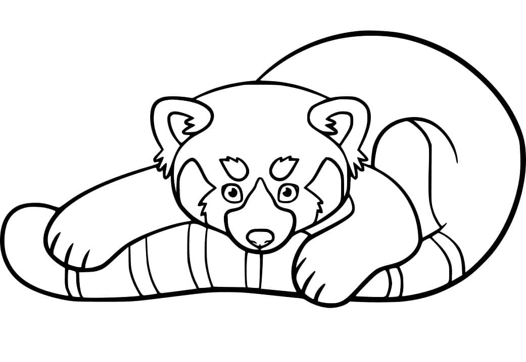Dessin de Panda Roux coloring page