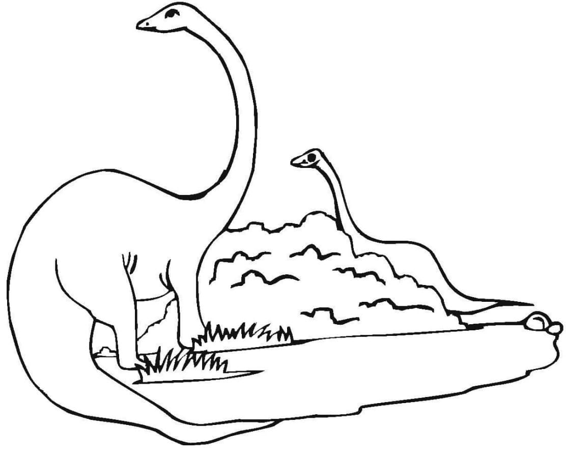 Deux Diplodocus coloring page