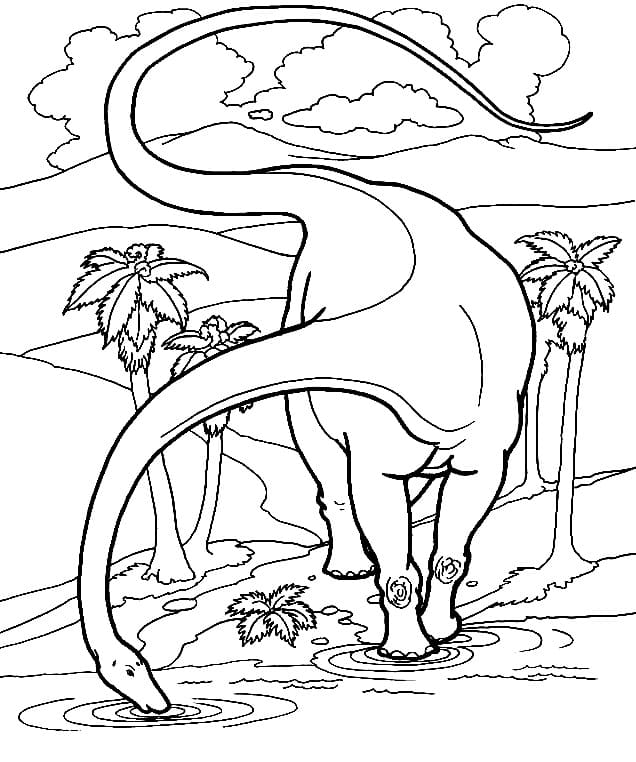 Dinosaure Diplodocus coloring page