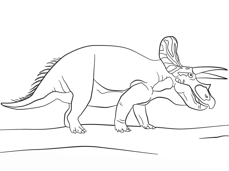 Dinosaure Triceratops Pour les Enfants coloring page