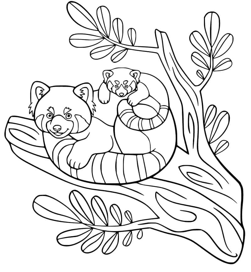 Famille de Pandas Roux coloring page