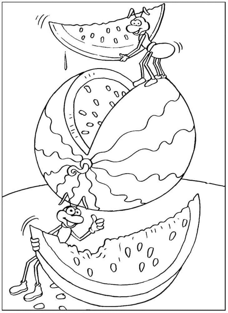 Coloriage Fourmis Mangent de la Pastèque